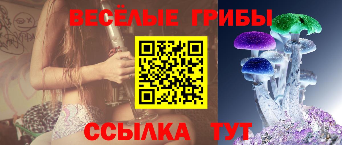 Киров  Псилоцибиновые грибы мицелий  Вход с VPN 